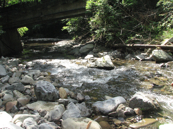 camp24 (203).jpg